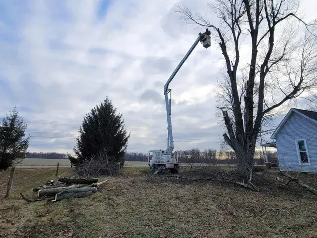 Tree Trimming Service — North Vernon, IN — Mullins & Family Outdoor
