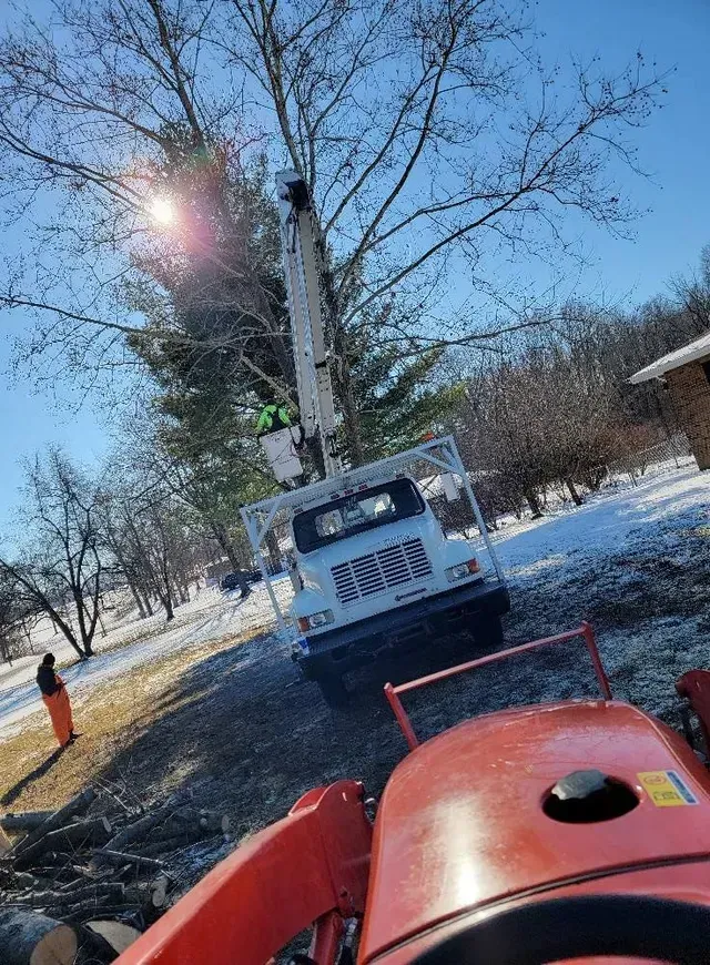 Vehicle For Tree Cutting Services — North Vernon, IN — Mullins & Family Outdoor