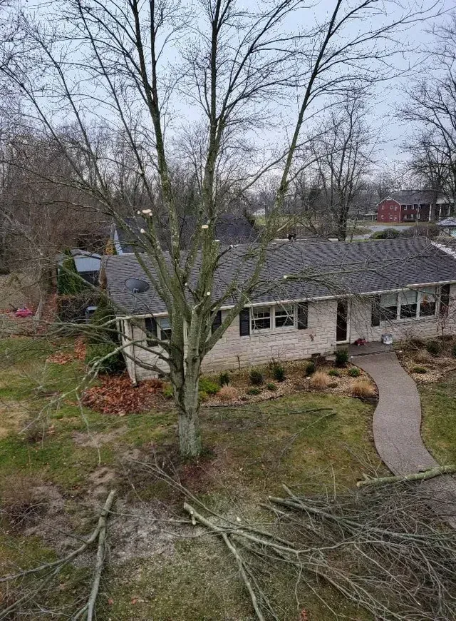 Tall Tree In Front Of A House — North Vernon, IN — Mullins & Family Outdoor