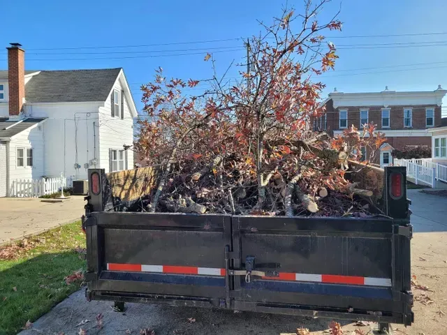 Tree Branches On Truck — North Vernon, IN — Mullins & Family Outdoor