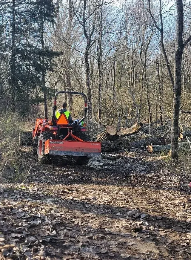 Man Getting Logs Using Dozer — North Vernon, IN — Mullins & Family Outdoor