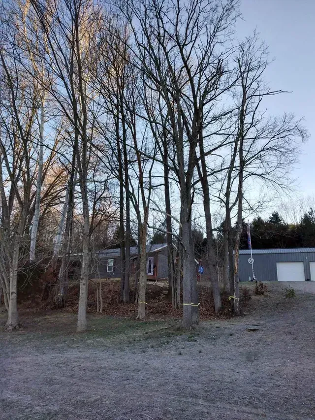Trees — North Vernon, IN — Mullins & Family Outdoor