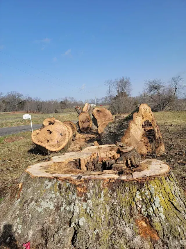 Logs — North Vernon, IN — Mullins & Family Outdoor