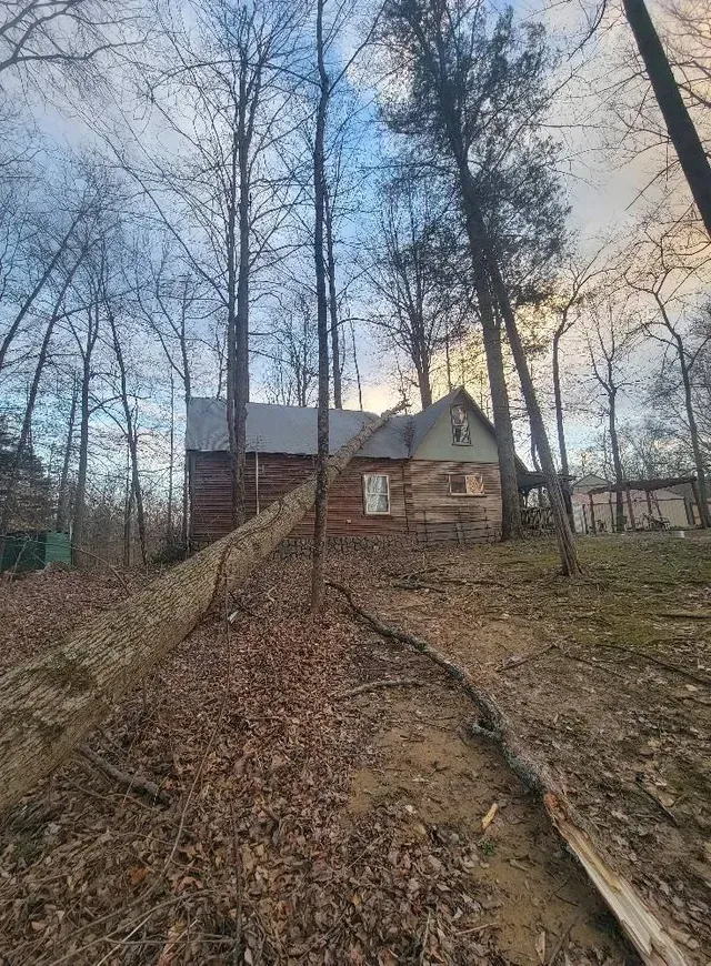 Tree Fall On A House — North Vernon, IN — Mullins & Family Outdoor
