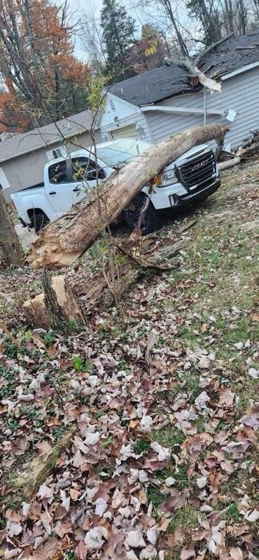 Car Hit By A Tree Front View — North Vernon, IN — Mullins & Family Outdoor