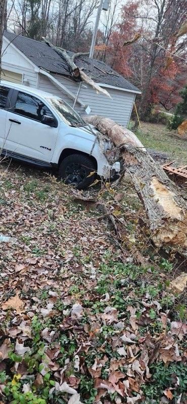 Car Hit By A Tree — North Vernon, IN — Mullins & Family Outdoor