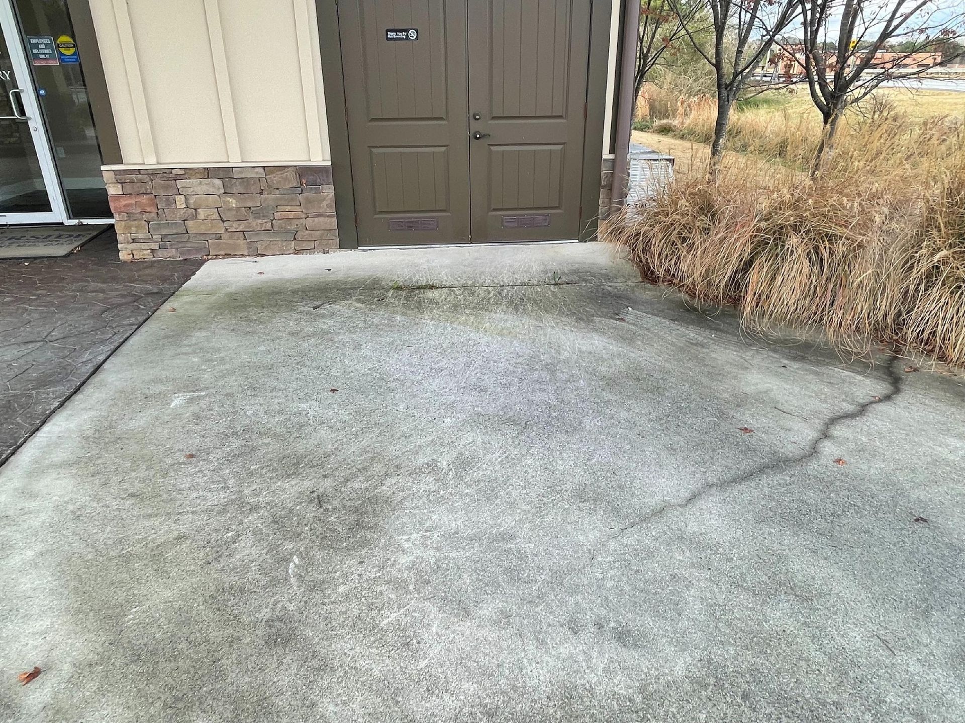 Concrete walkway leading to a building door beside dry shrubs and a brick wall