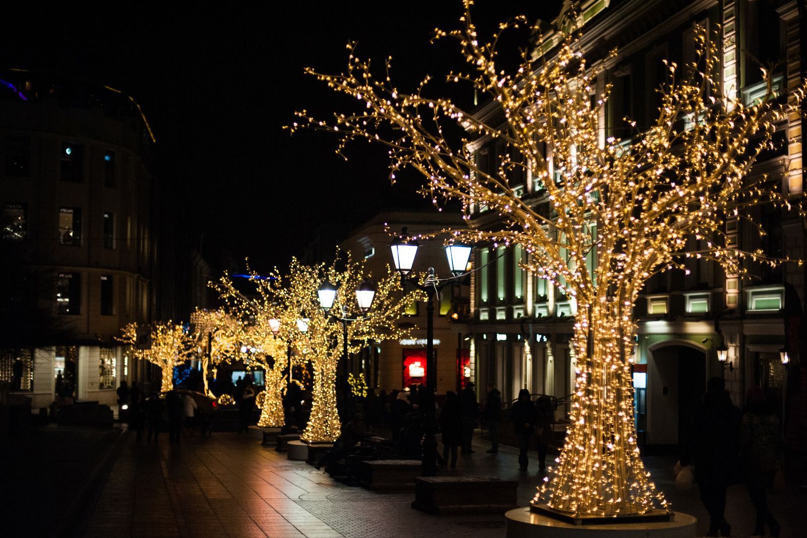 Night street lined with trees wrapped in warm white lights outside shops at dusk