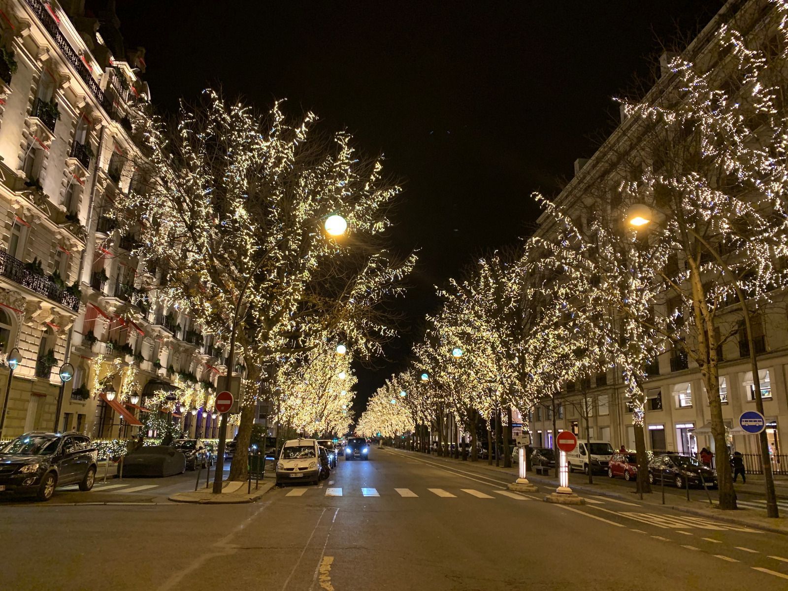 Festive city street at night with rows of trees wrapped in warm white lights