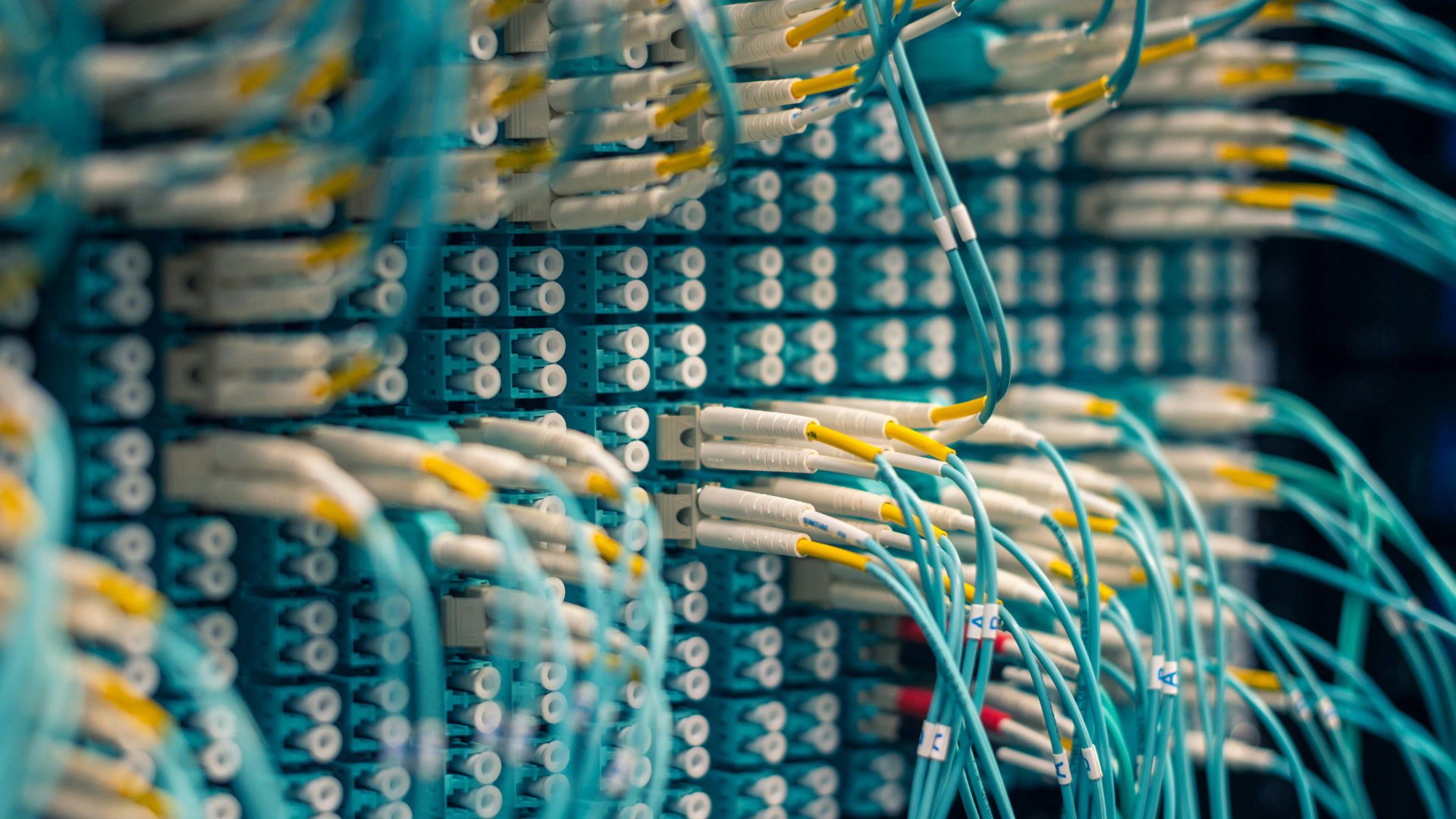 Structured Cabling for the Modern Office: Why Your Business Needs a Future-Proof Network