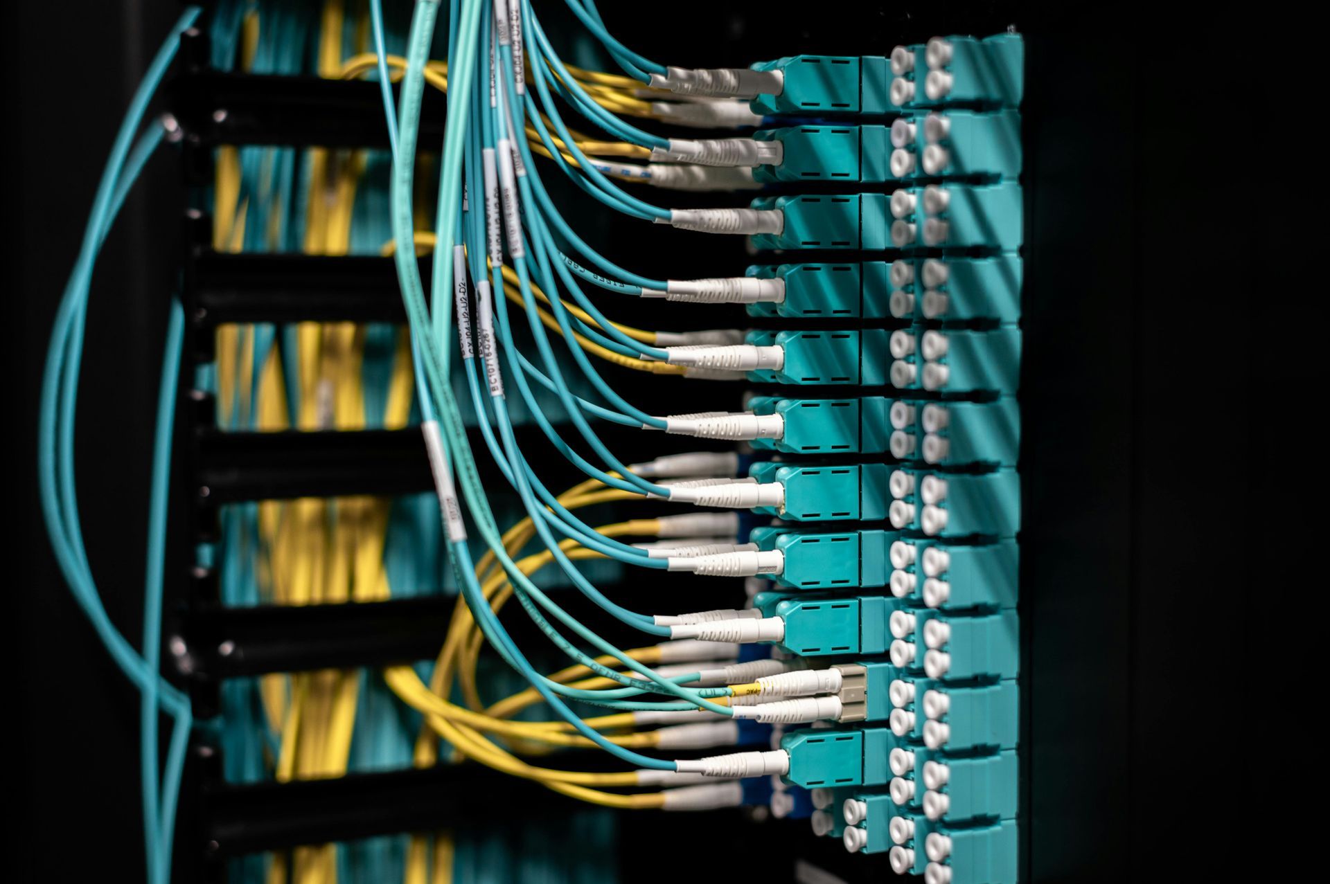 Color-coded network cables connected to server rack ports in a data center