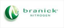 Branick Nitrogen logo: green globe with white accents and text 