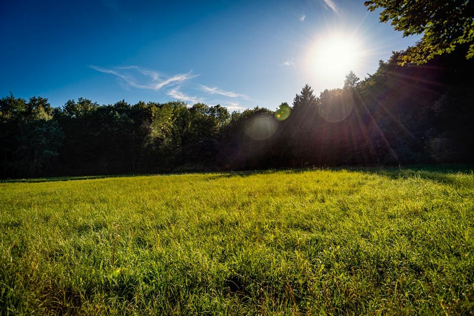 Lot Clearing | Riverton, UT | Discount Tree & Landscape Co.