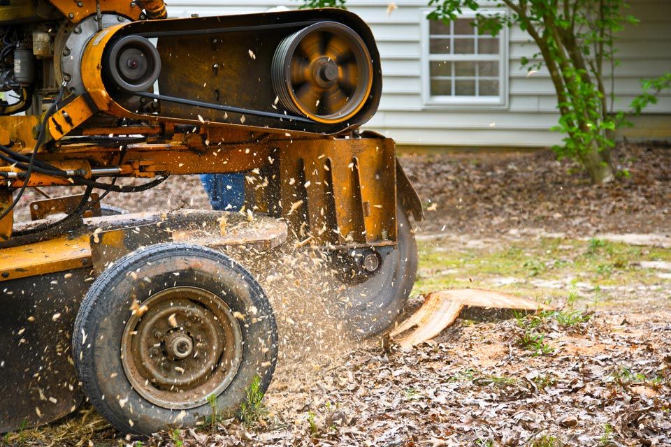 Stump Removal | Riverton, UT | Discount Tree & Landscape Co.