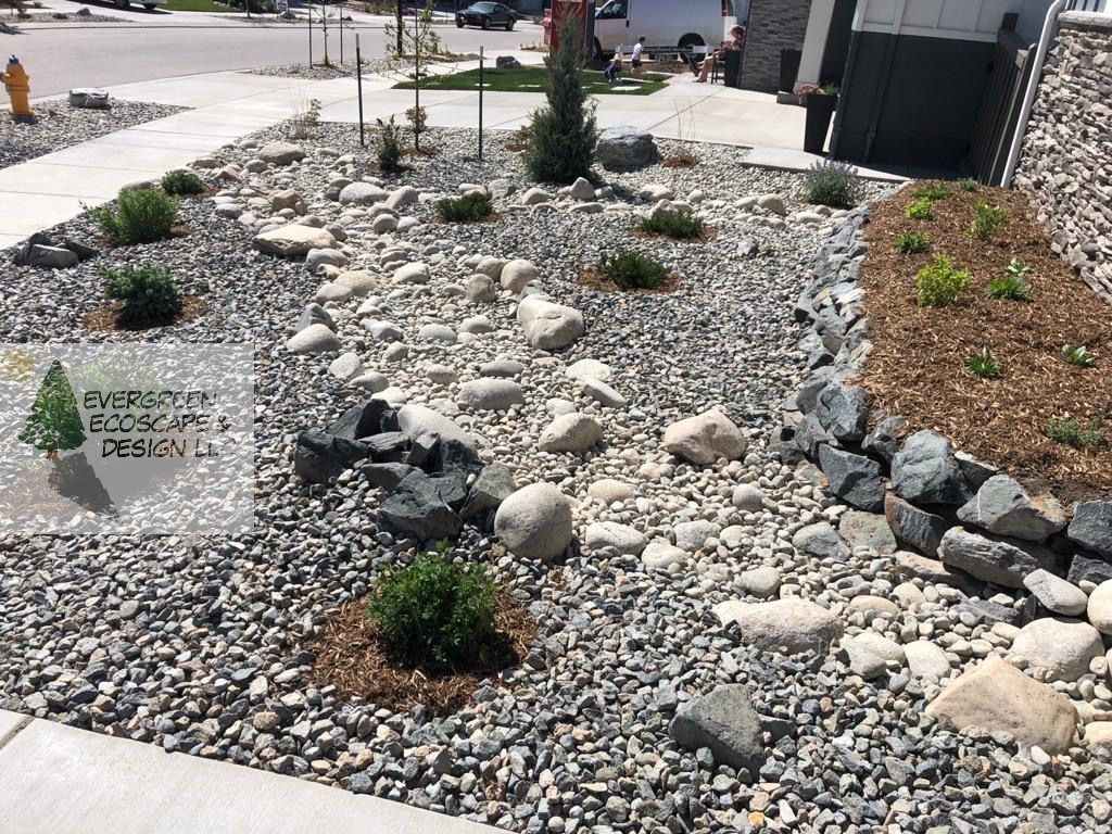 Rock garden landscape with white and gray stones, small shrubs, and a walkway in front of a building