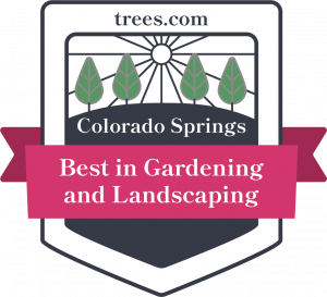 Award badge: