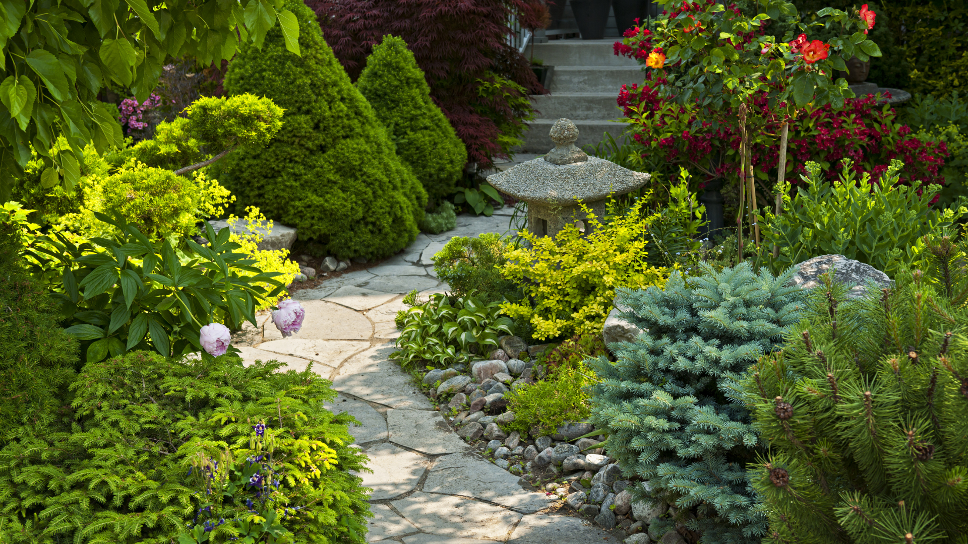 landscape design services for water-smart residential landscaping in Falcon CO