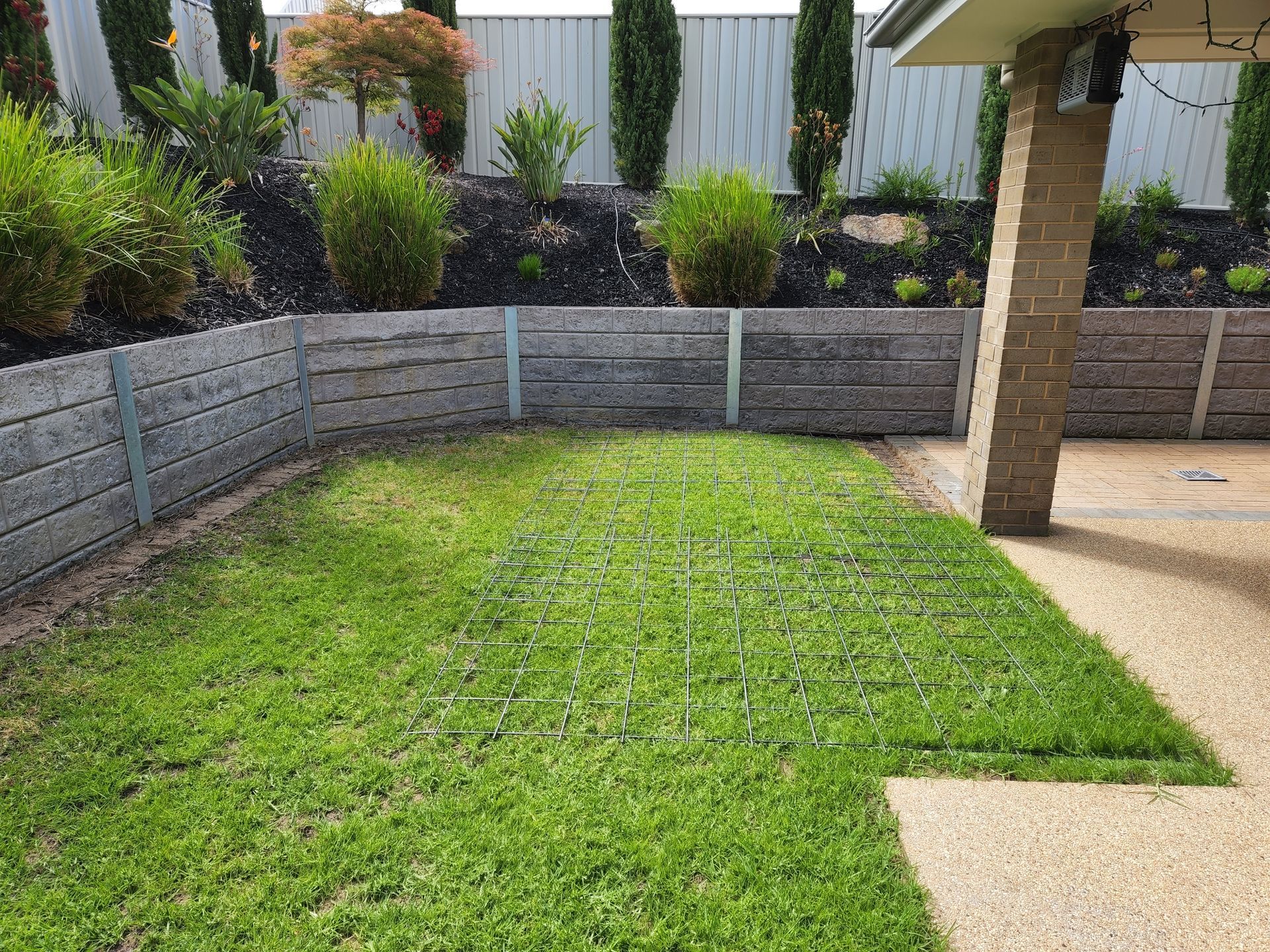 A lush green lawn in front of a house with a wooden fence.