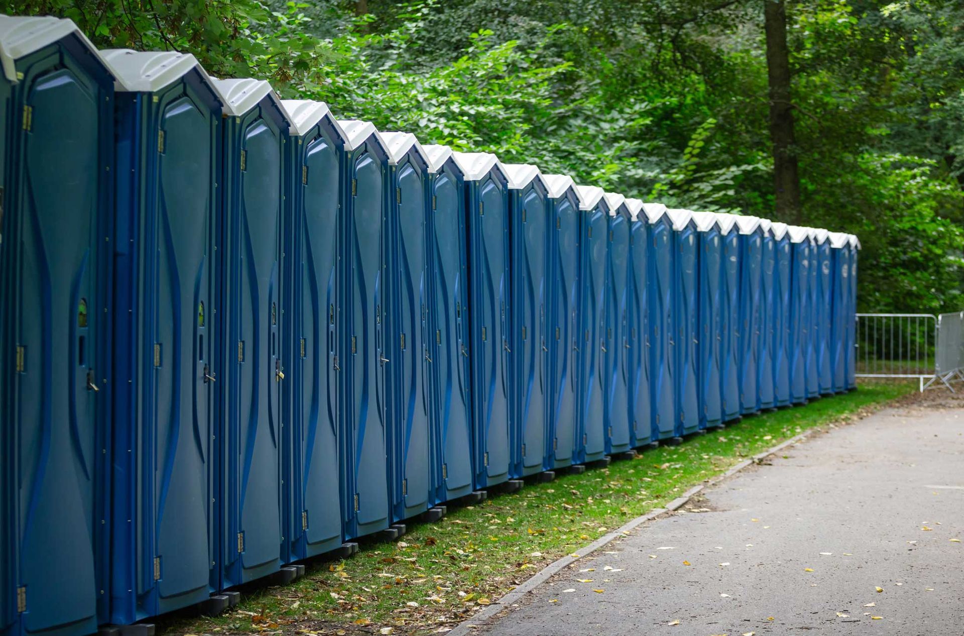 Row of blue portable toilets along a paved path in a wooded park