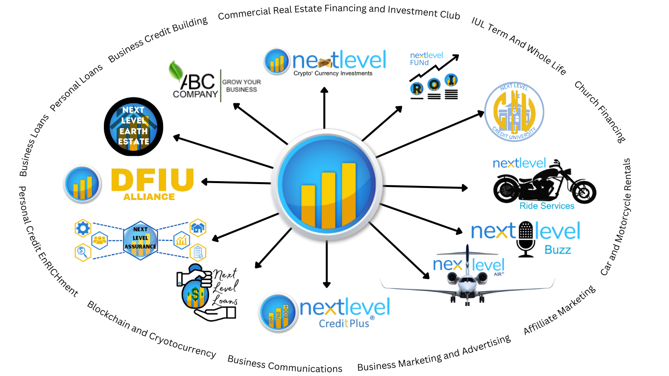 A diagram of a network of companies including dfiu and next level