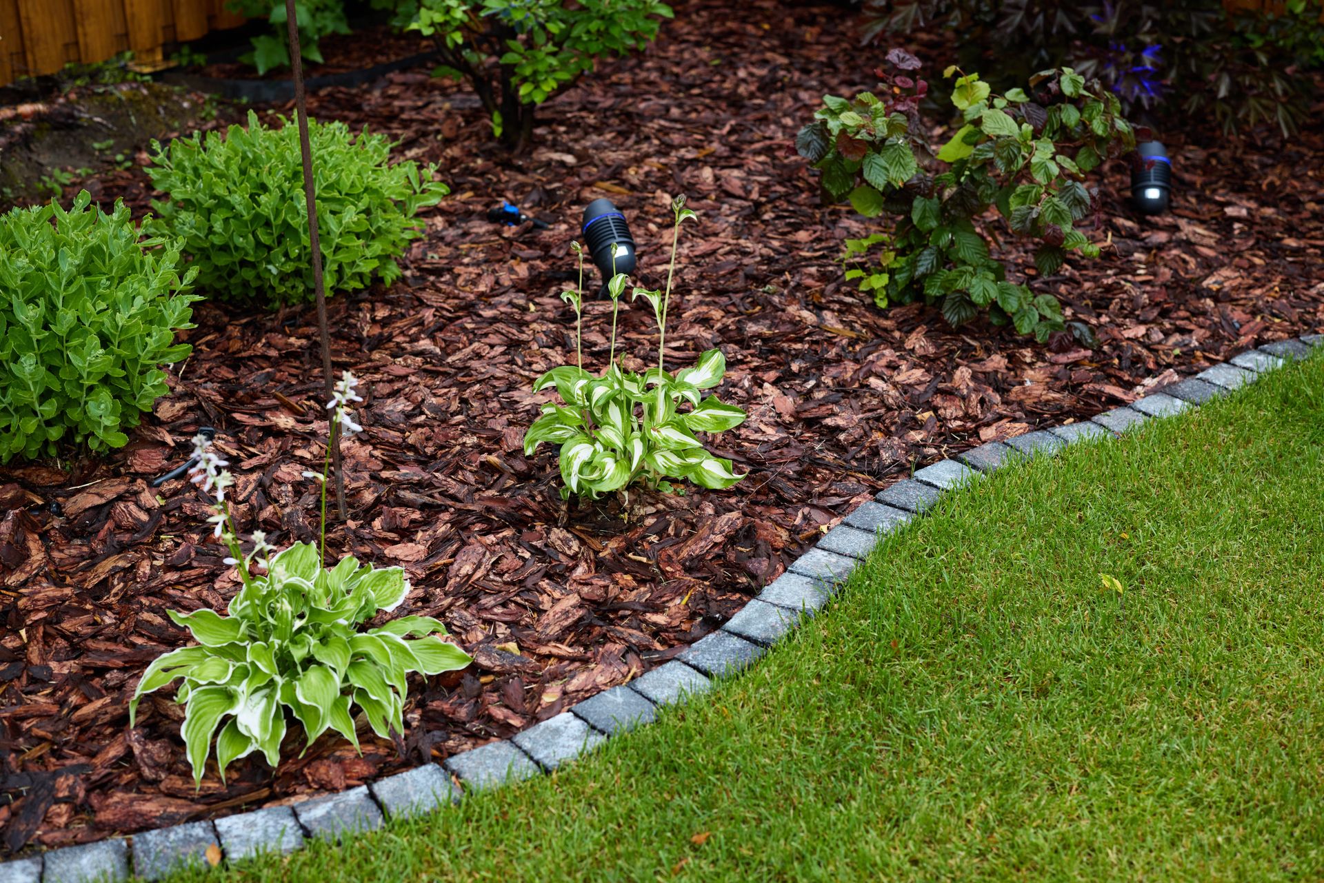 A garden bed with green plants, mulch, and low-voltage lights, bordered by gray pavers against a green lawn.