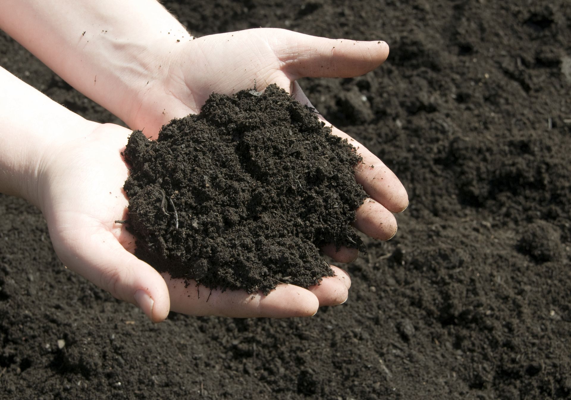 Two cupped hands holding a mound of dark, rich potting soil against a background of more soil.