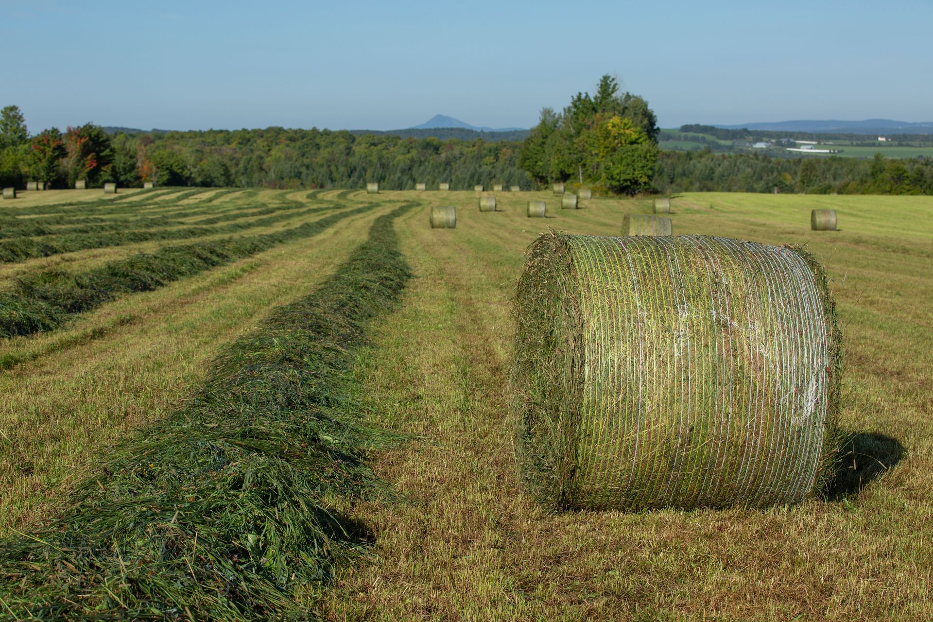 A large round hay bale sits in a sunlit field with rows of cut grass, trees, and distant hills under a clear blue sky.