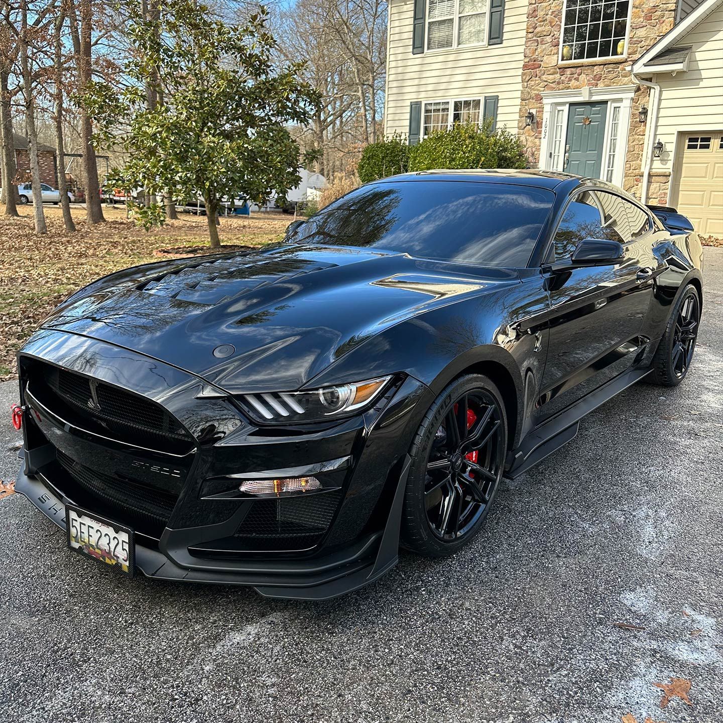 ford mustang shelby