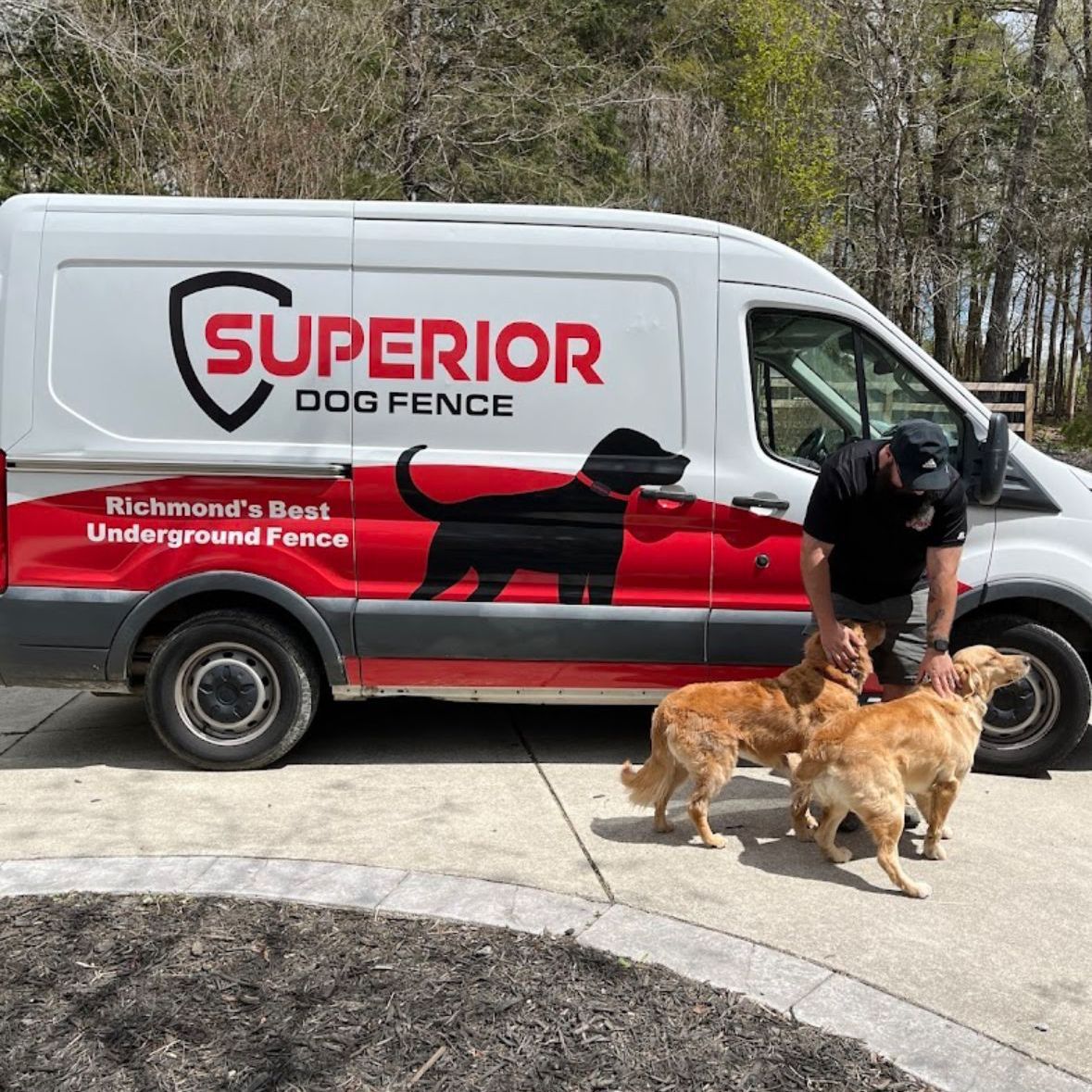Man with three golden retrievers next to a van with 
