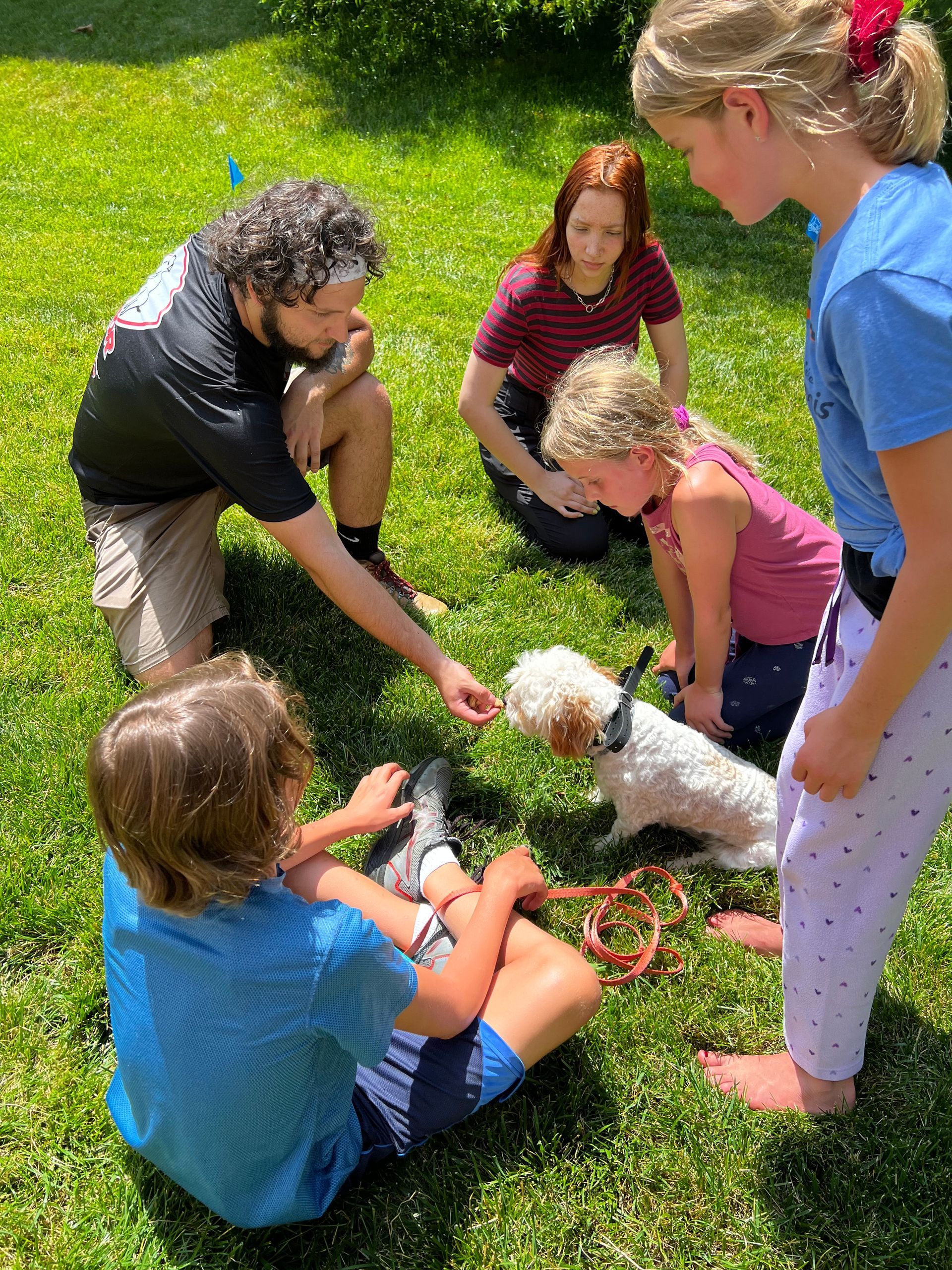 Our training is so easy kids can do it! A group of people are sitting in the grass with a dog.