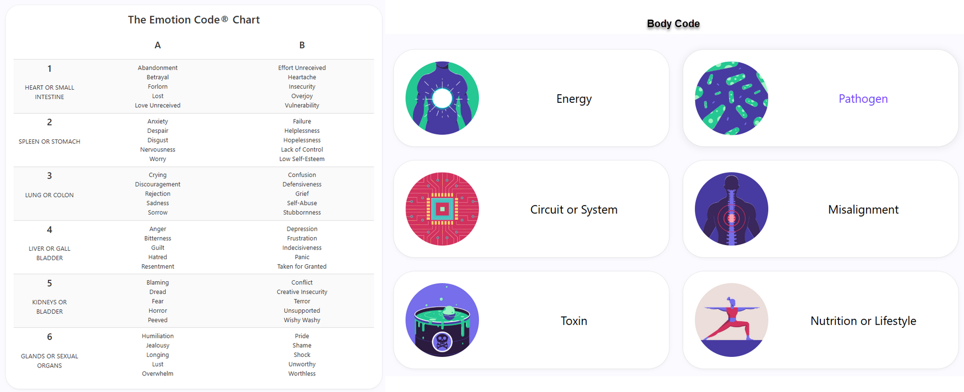 Emotion Code and Body Code