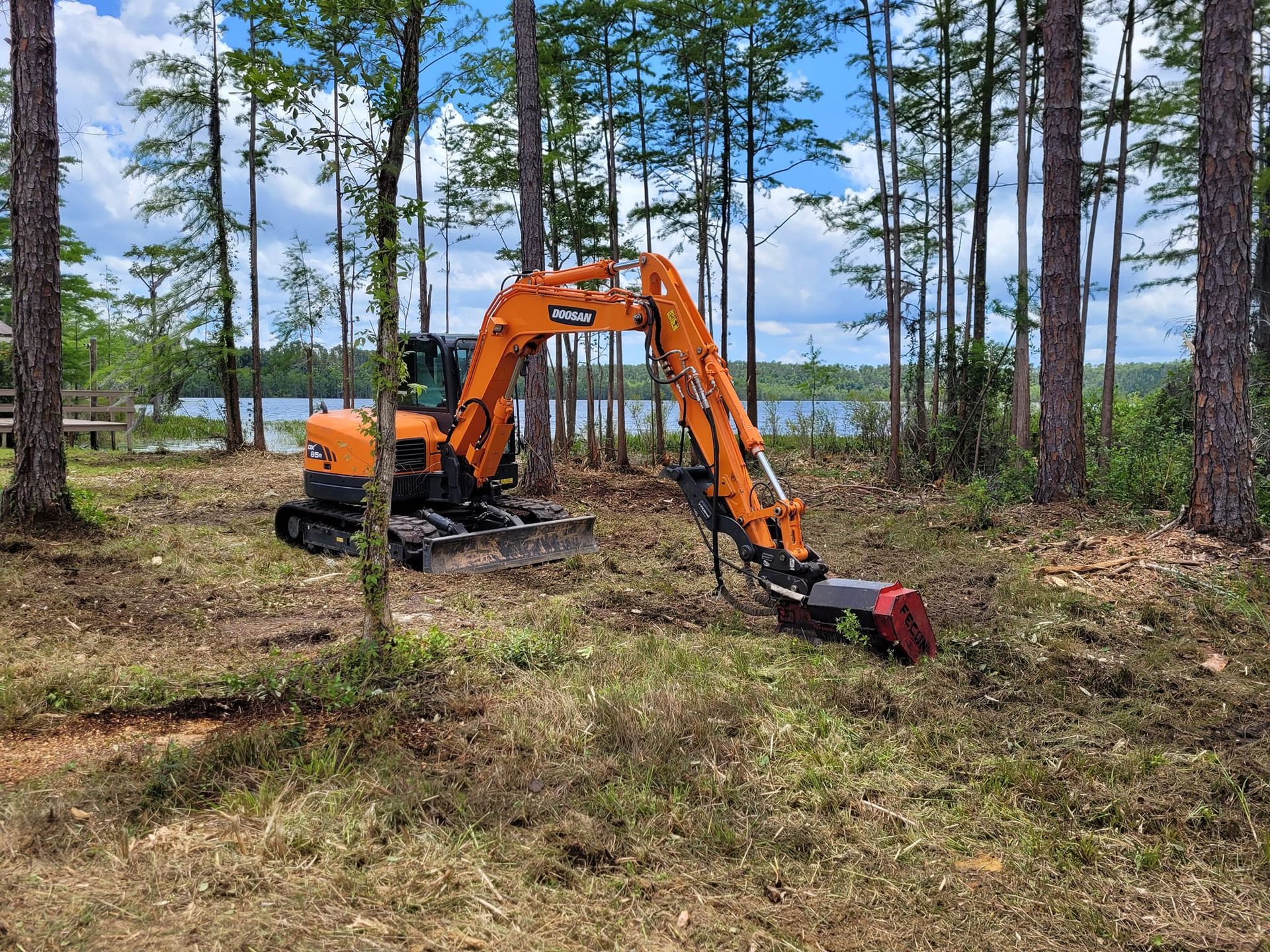 Forestry Mulching in Dothan, AL
