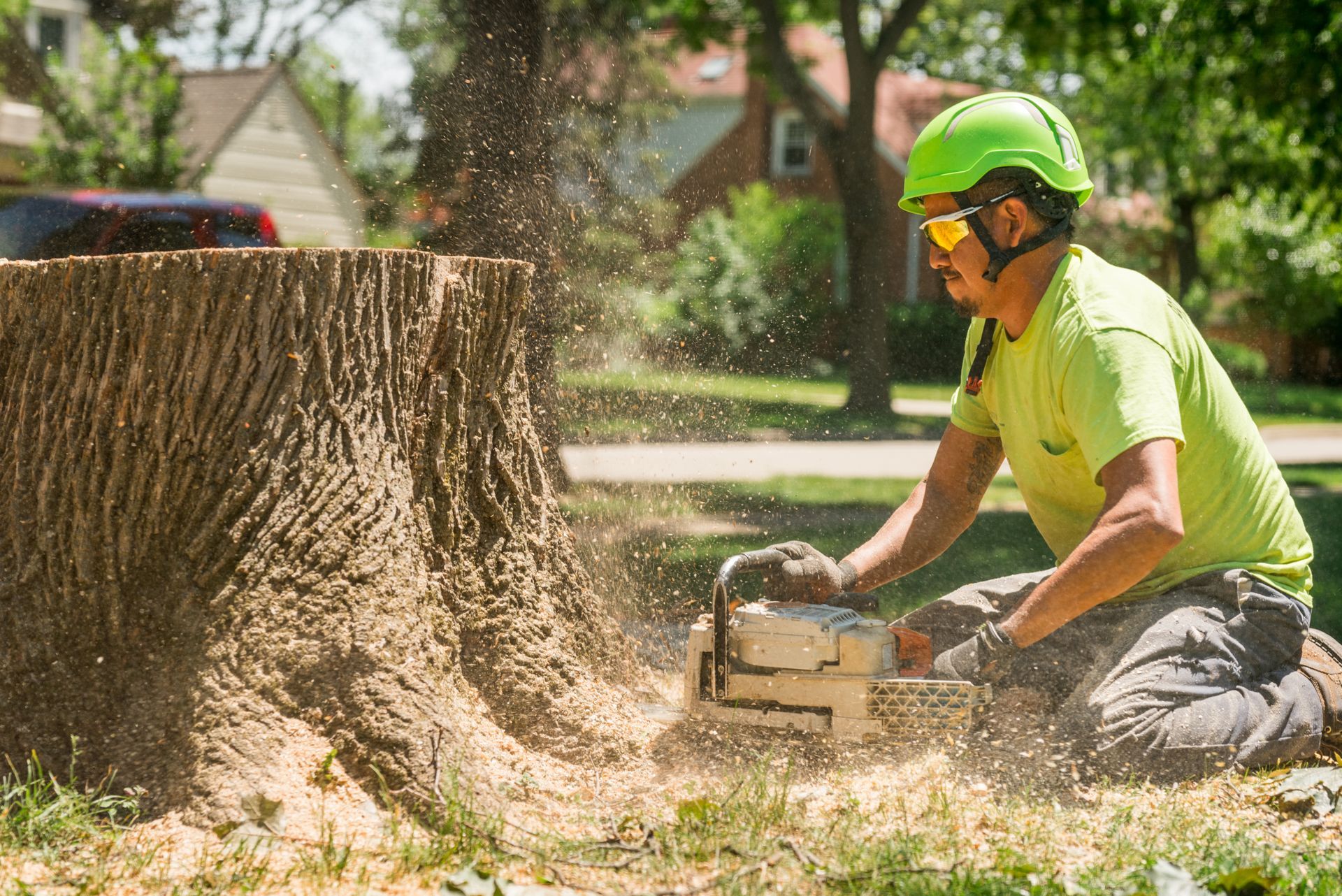 An arborist in a bright green helmet and safety glasses uses a chainsaw on a tree stump An arborist in a bright green helmet and safety glasses uses a chainsaw on a tree stump