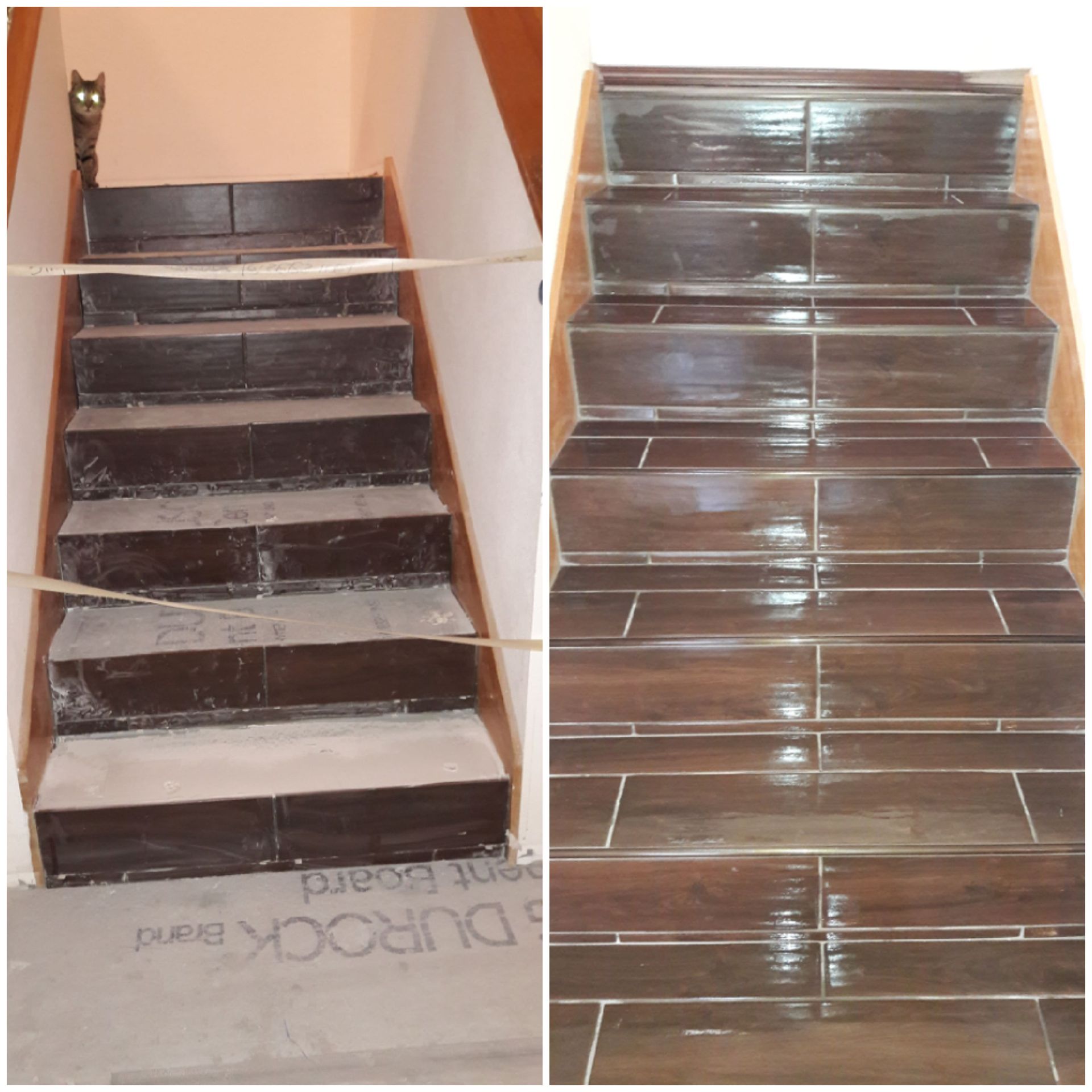 Staircase before and after tiling. Dark brown tiles cover steps, replacing the raw material. A cat peeks from above.