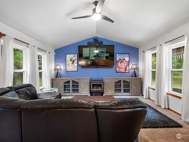 Living room with blue wall, large TV, windows, leather couch, and dark rug.