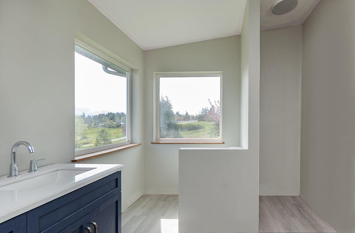Bathroom with a blue vanity, two windows, and a white shower. Light gray walls and wood-look flooring.