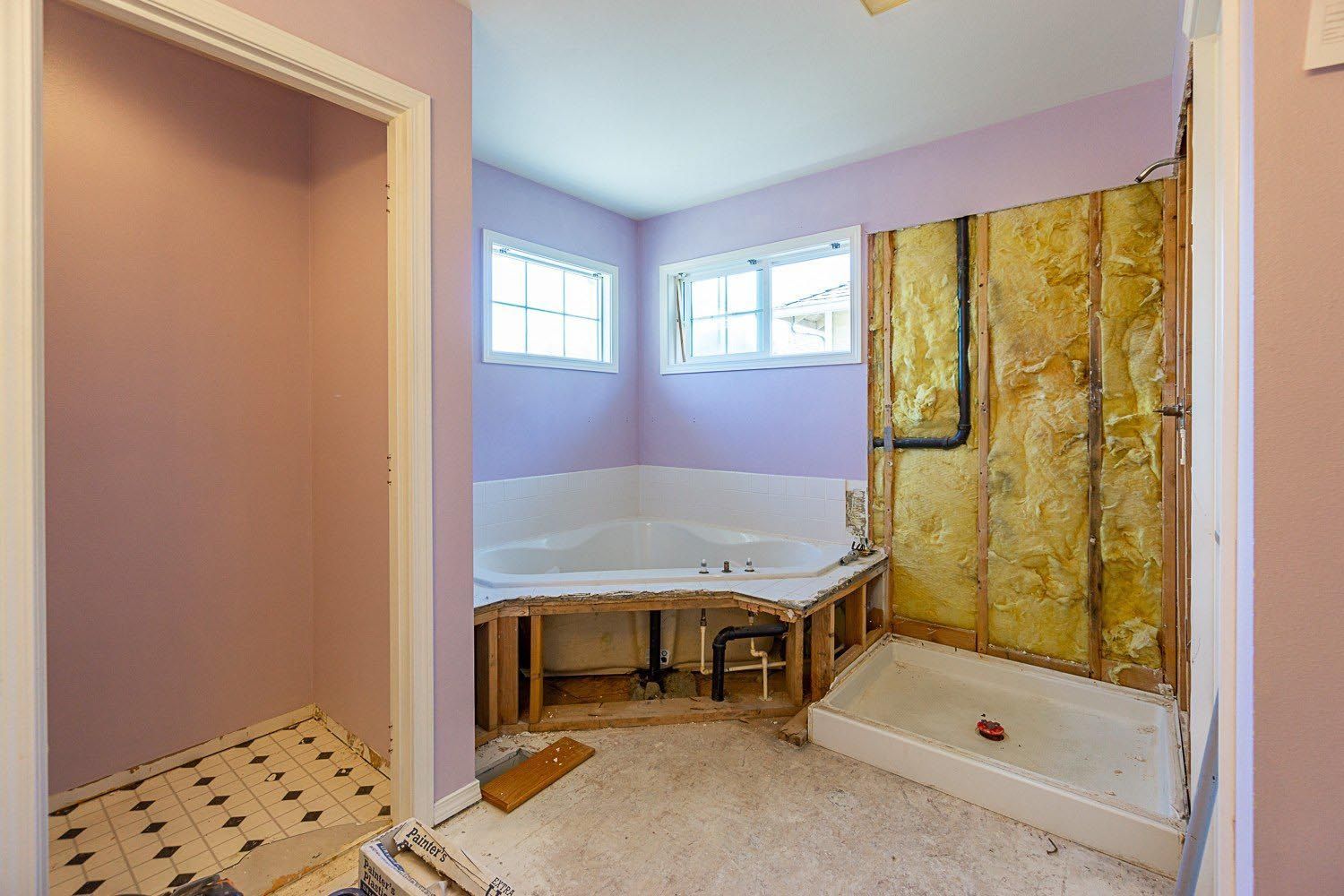 Bathroom under renovation; walls exposed, pink paint, partially built-in jacuzzi tub, shower, bare insulation visible.