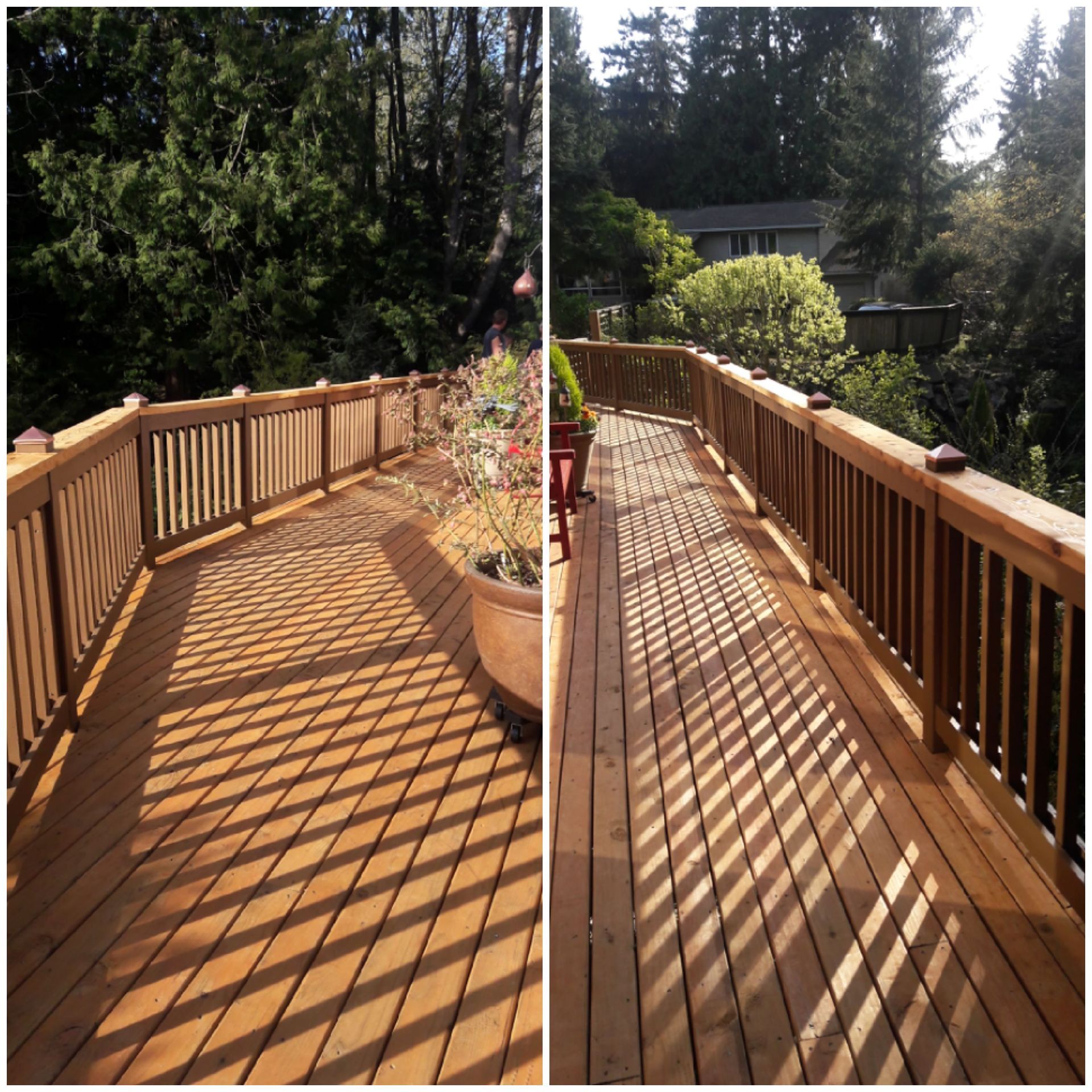 Sunlit wooden deck with railing casting striped shadows, bordered by trees and potted plants