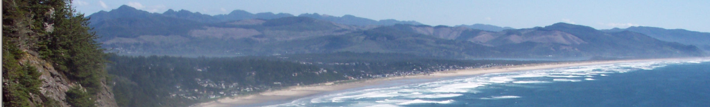 Website Banner