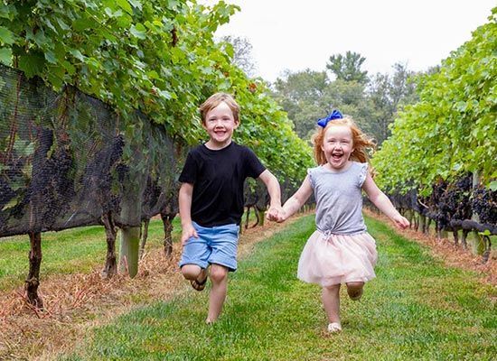 Two children run joyfully hand-in-hand through a vineyard; boy in blue shorts, girl in pink skirt.