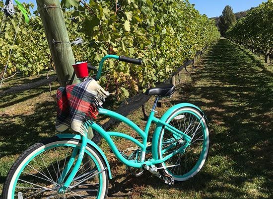 Teal bicycle with a scarf in a vineyard on a sunny day.