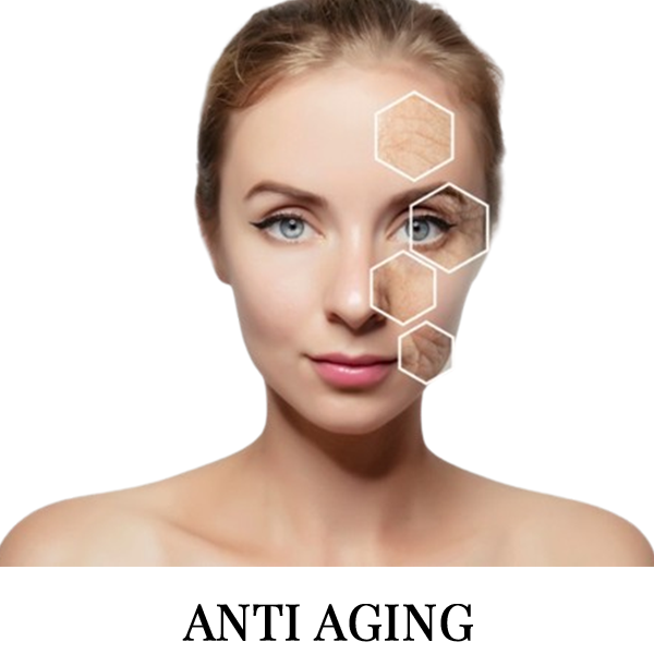 A women showing the signs of aging and the word anti aging under her