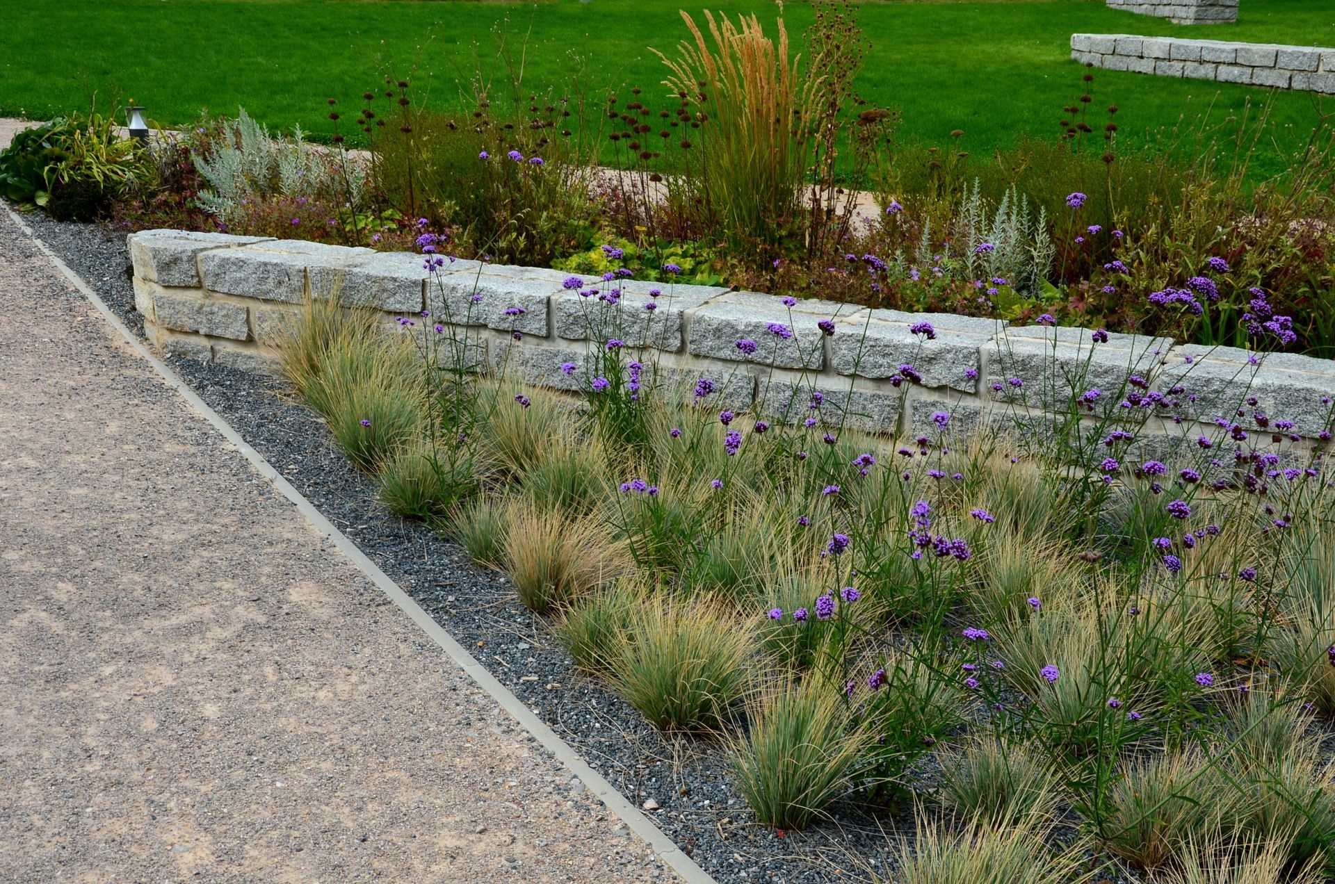 A light gray stone retaining wall separates a gravel path from a garden bed with purple wildflowers and ornamental grasses.