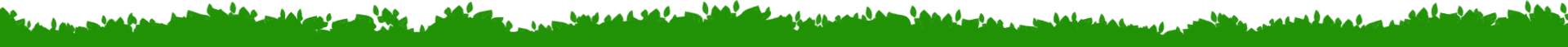 A textured, vibrant green patch of grass against a white background.