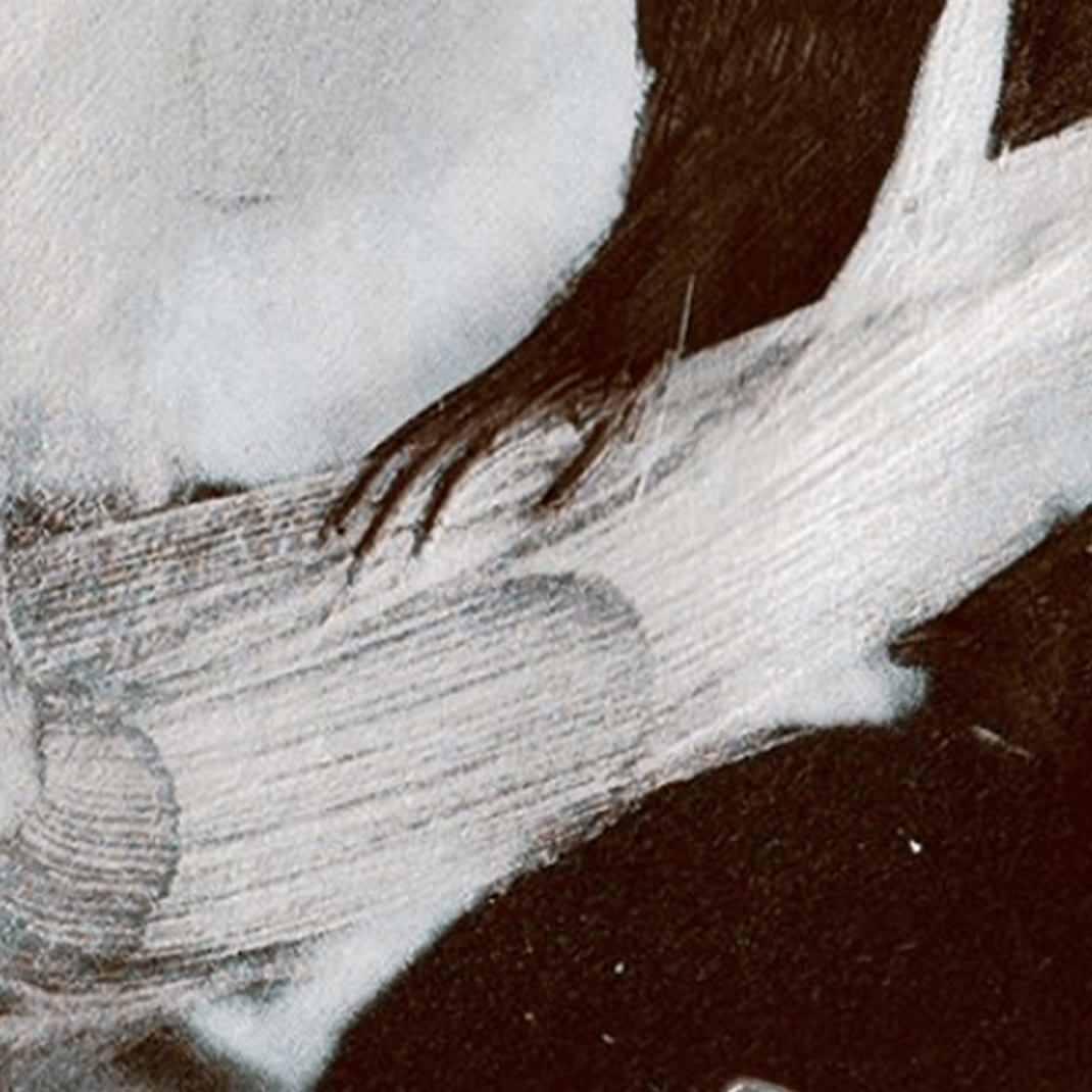 Black hand on white, textured background.
