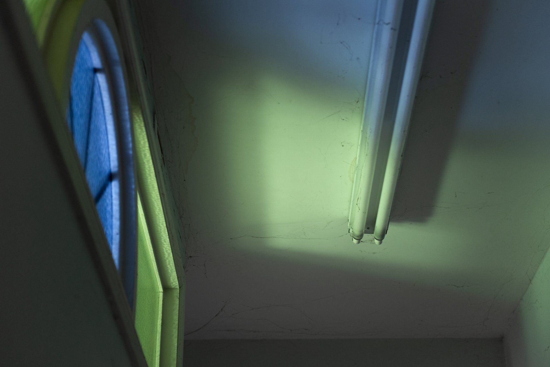 Blue window and green-lit ceiling with fluorescent tubes casting shadows.