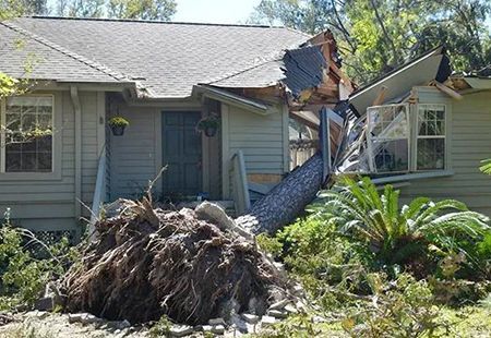 A house with significant roof damage from a fallen tree.