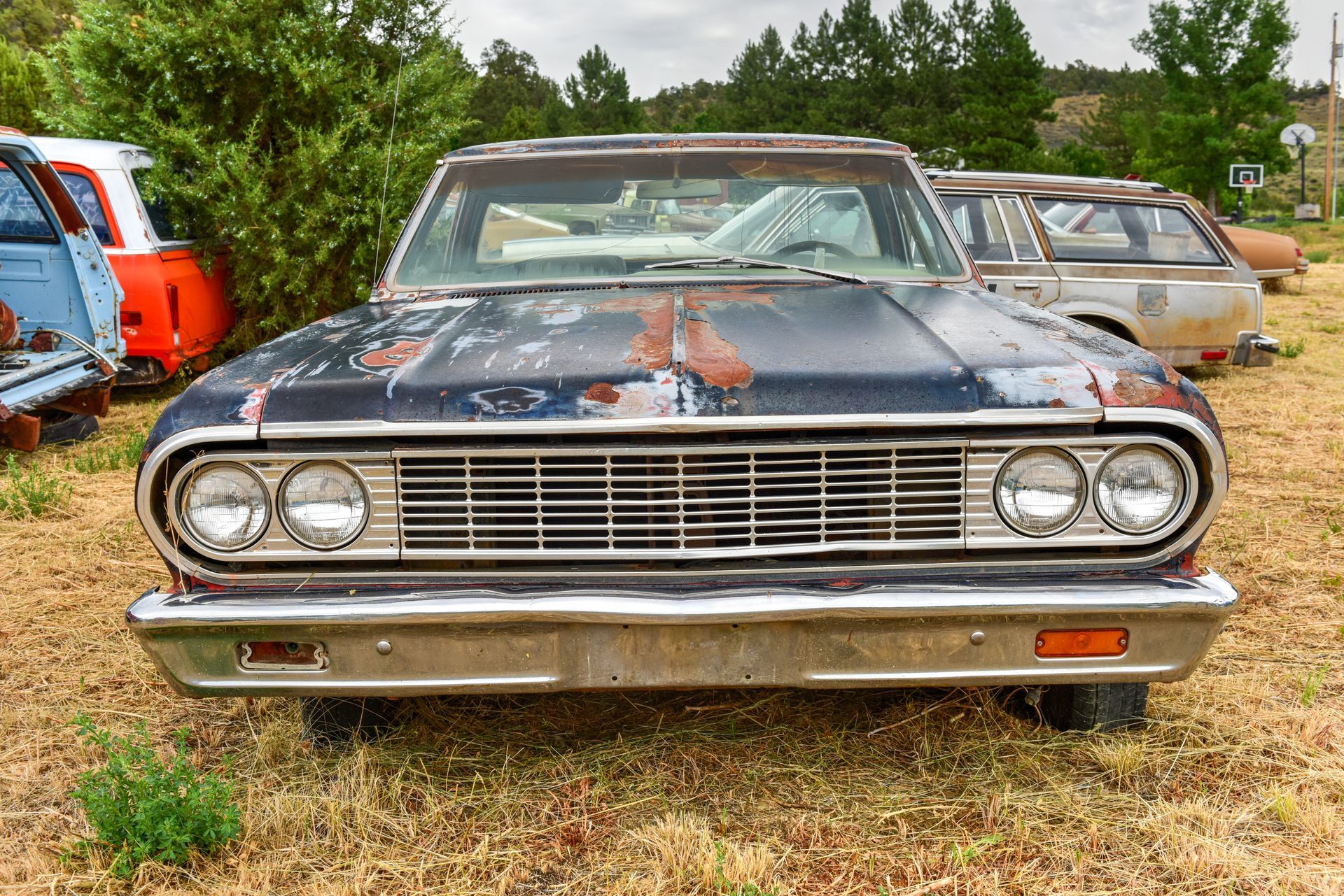 Front view of a vintage black car with a rusty hood parked on dry grass outdoors