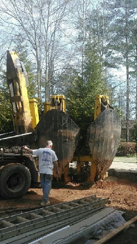 Process of Removing the Tree — Seneca, SC — Sheriff Landscaping