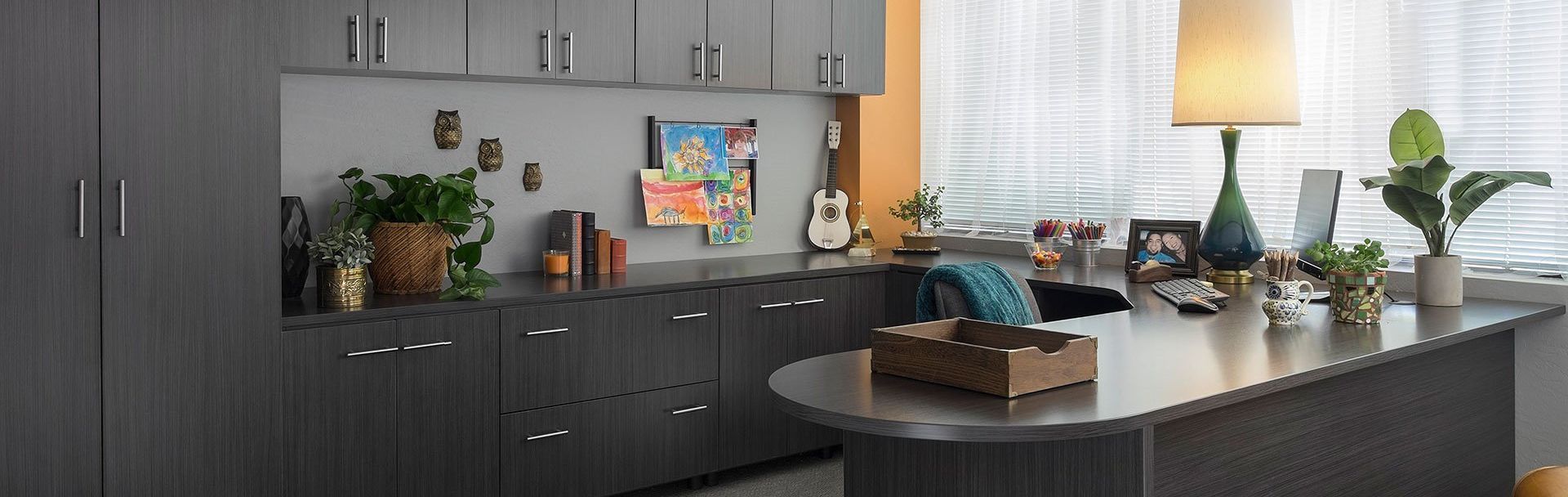Custom Home Office Systems